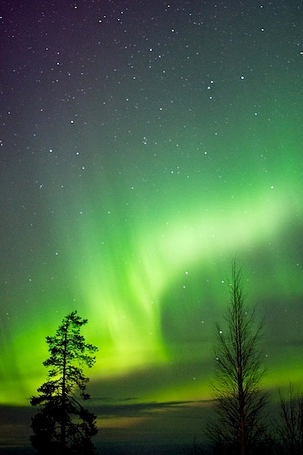 Aurora boreal sobre Rovaniemi, na Laponia finlandesa